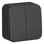 Выключатель 2-клавишный (cх.5) Blanca Schneider Electric 10А 250В антрацит изол.пластина