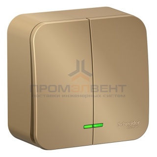 Выключатель 2-клавишный с подсветкой (cх.5) Blanca Schneider Electric 10А 250В титан